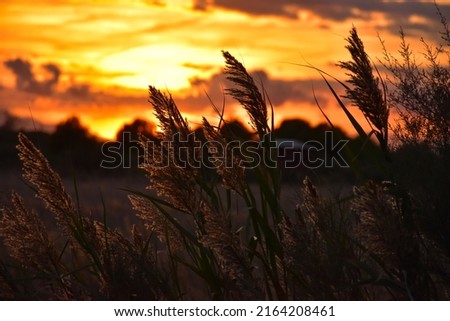 Summer vibes, enjoying holidays sunset in l’Estartit Stock fotó © 