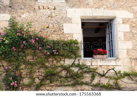 window with  flowers of geranium and roses