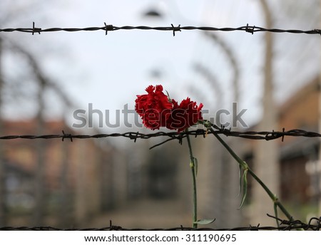 OSWIECIM, POLAND - APRIL 16, 2015: Electric fence in former Nazi concentration camp Auschwitz I, Poland