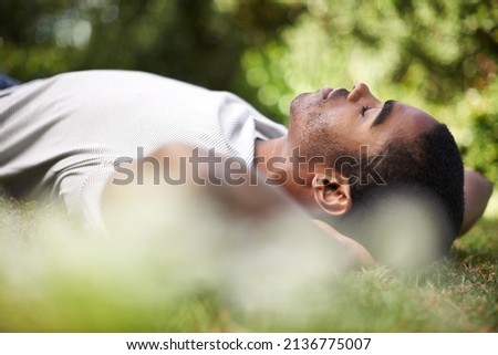 Similar – Image, Stock Photo Carefree black man lying on blanket with laptop in park