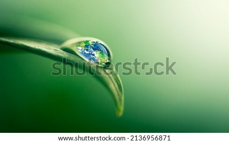 Similar – Image, Stock Photo Macro shot: grass plants