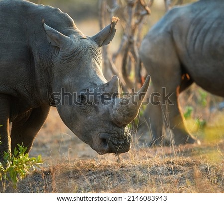 Similar – Image, Stock Photo Habitat / my Space cut