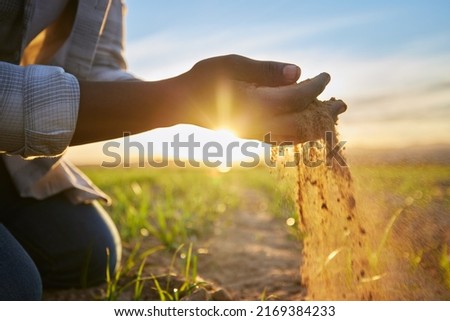 Similar – Image, Stock Photo Crop person with fresh pea pod