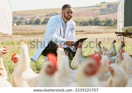 Similar – Image, Stock Photo Poultry at chicken farm