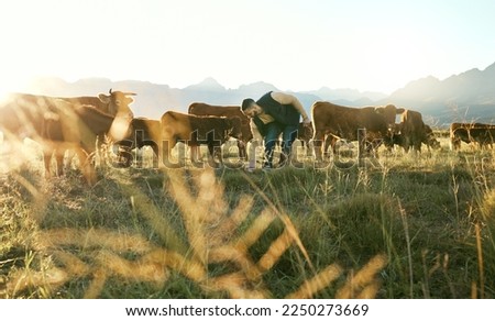 Similar – Image, Stock Photo Land of milk and honey | But only with surveillance