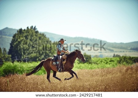 Foto Bild Menschen auf Pferden