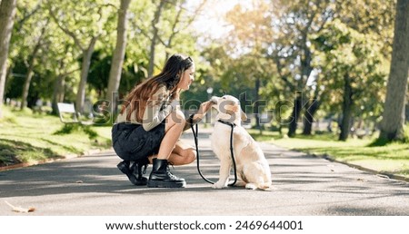 Similar – Image, Stock Photo Cheerful woman with dog in pet cone at home