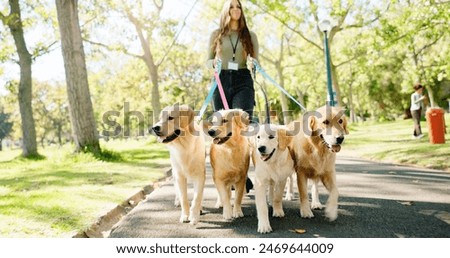 Similar – Image, Stock Photo Dog on a leash at the beach
