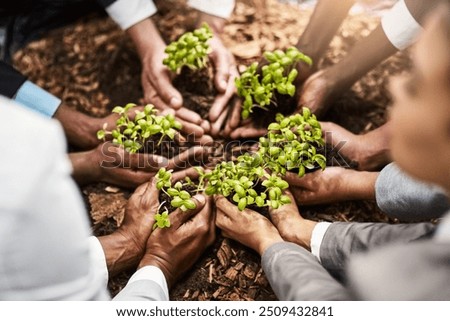 Similar – Image, Stock Photo Anonymous gardener with spring flowers at table