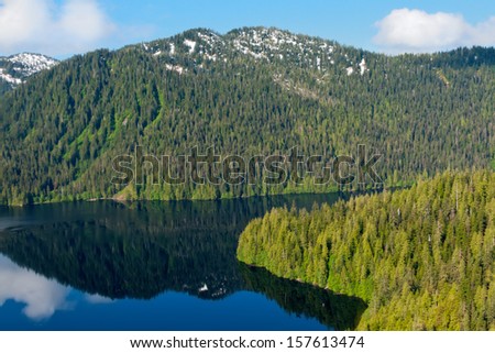Aerial view of the rainforest in Misty Fjord, near Ketchikan, Alaska