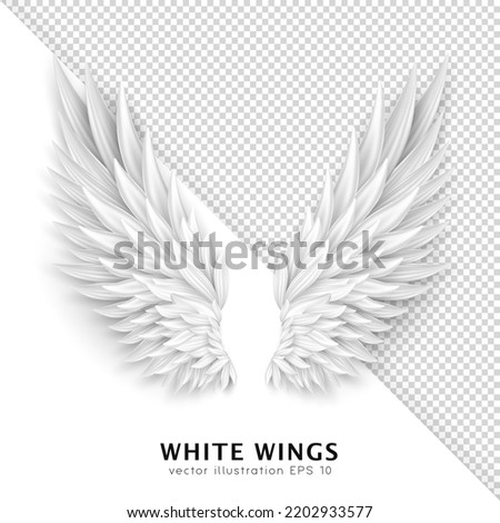 Similar – Image, Stock Photo Three white angels Design