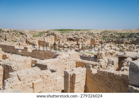 Ruined arches in the ancient Nabatean castle of Avdat National Park in the Negev Desert of Israel.