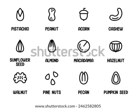 Nut icons set. Collection of Nuts and Seeds with Name.Peanut, Pistachio, Almond, Hazelnut, Acorn, Cashew, Macadamia,Walnut. Outline set of nuts vector icons for web design isolated on white background