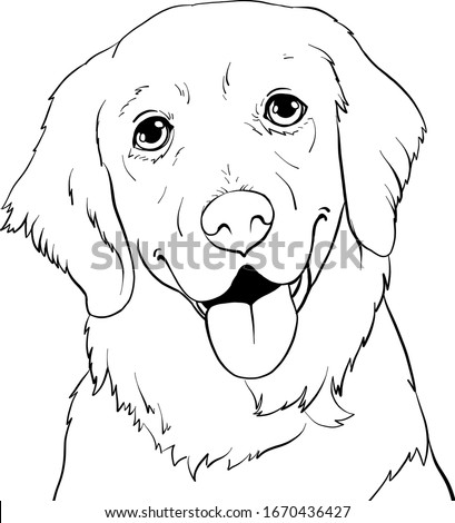 Golden Retriever Line Drawing At Getdrawings Free Download