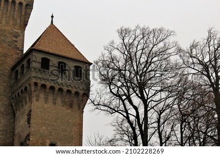 Château de Vufflens on a foggy winter's day (Vufflen, Switzerland) Stock fotó © 