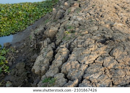 soil with natural looking creaking images Foto d'archivio © 