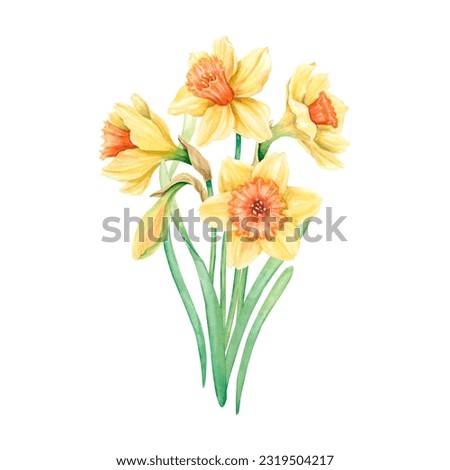 Similar – Image, Stock Photo blooming yellow daffodil bud on a blue background, spring flower