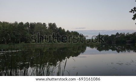 Wild lake on afternoon Zdjęcia stock © 