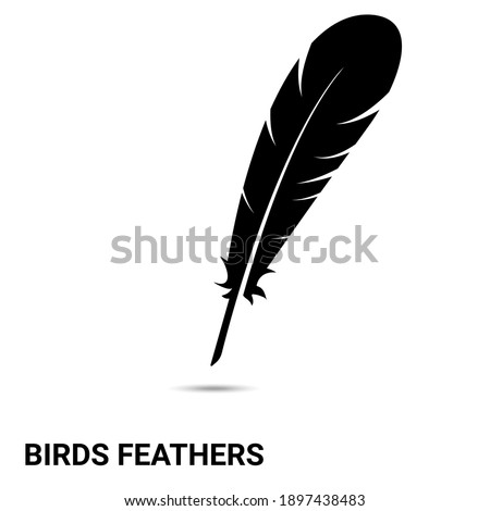 The feather of a bird. The bird's feather is isolated on a light background. Vector illustration.