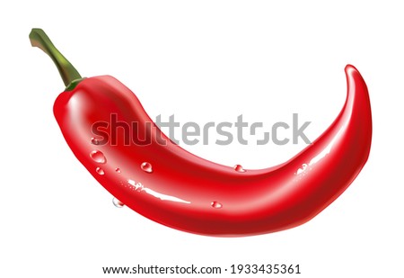 Red chili pepper isolated on white background, stylized vector illustration