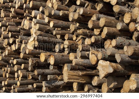 Woodpile cutting timber for the forestry and timber industry