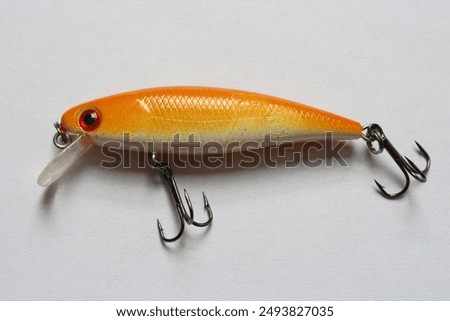 Similar – Image, Stock Photo Big fish with red tail in plate