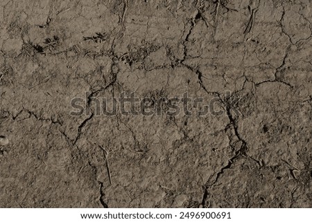 Similar – Image, Stock Photo dry mud Environment Earth