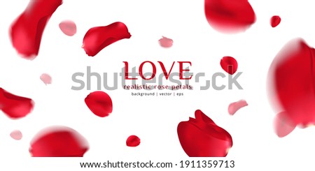 Falling red rose petals isolated on white background. Vector illustration with beauty roses petal