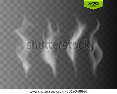 Smoke vector collection. White isolated cigarette smoke. Transparent special effect. Vector illustration.