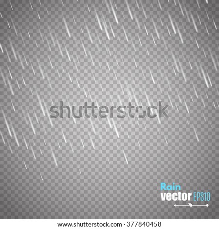 Vector rain isolated on transparent background. Vector illustration