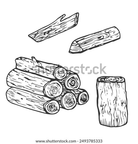 Wooden logs and twigs sketch on white background. Vector illustration of timber and wood stump. Firewood hand drawing line sketch