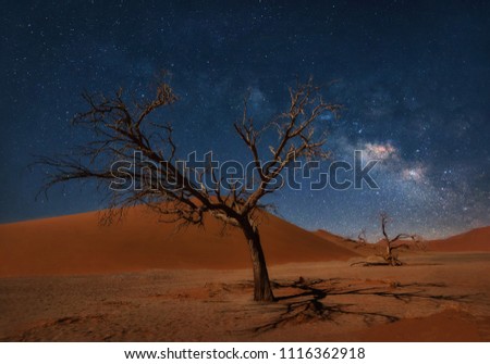 Similar – Image, Stock Photo Starry sky over Namibia