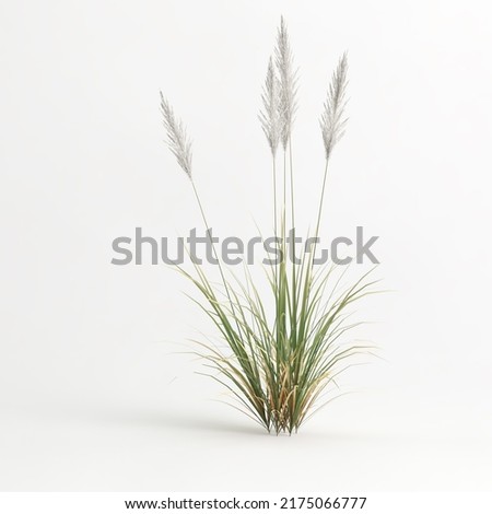 Similar – Image, Stock Photo Single reed grass on a cold sunny winter day at the lake