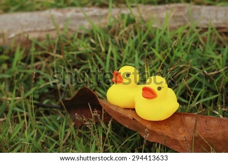 Yellow rubber duck on a background of green grass.