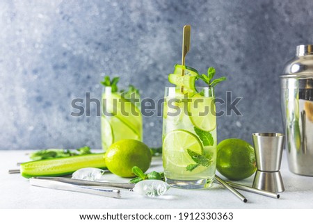 Similar – Image, Stock Photo Mint in Homemade Herb Garden Bed