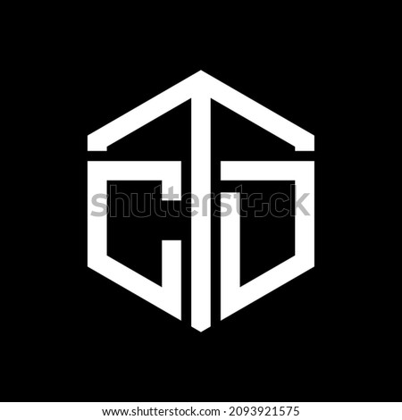 CTD Unique abstract geometric vector logo design.