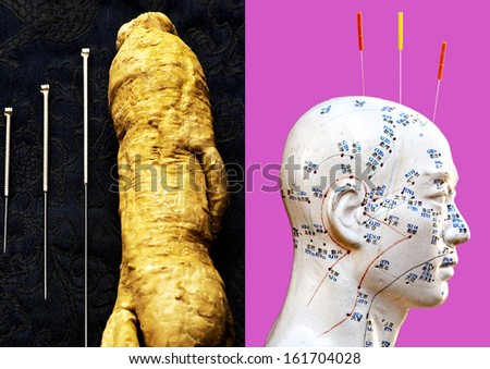 acupuncture needles, ginseng root and head model