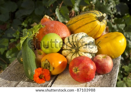 Autumn vegetable and fruits  on old wood