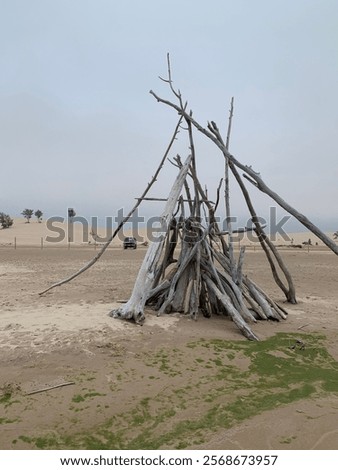 Foto Bild Dünen mit grünem Moos und hohem Gras und Schafen auf der Insel Sylt