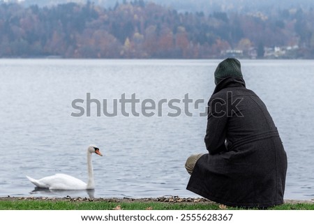 Similar – Foto Bild Schwanensee Ausflug