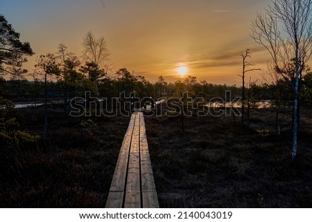 Golden hour landscape of a wooden hiking path n the wetlands of the Cosumnes River Preserve in Galt California with the sun setting on the horizon. 商業照片 © 