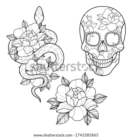 Set of three tattoo sketch with peony flowers, snake and skull  for Henna drawing and tattoo template. Flower tattoo. Vector illustration