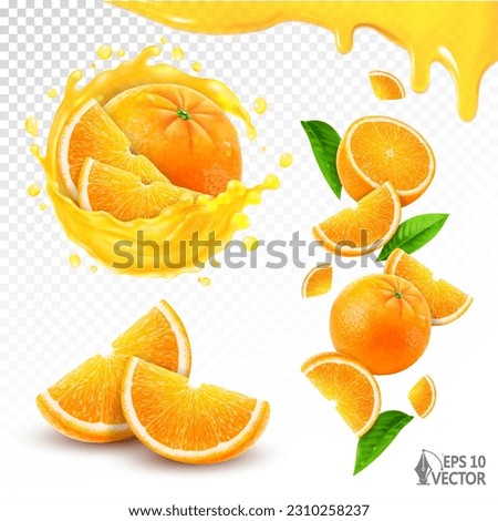 Set of fresh whole and sliced orange fruits, transparent fresh citrus juice splash, falling ripe oranges and slices. 3d realistic vector food illustration isolated on white background