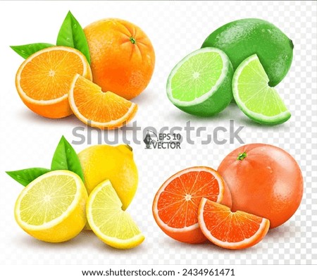 Vector realistic set of citrus. Lemon, orange, lime, grapefruit. Whole, halves and slices. Fresh sour citrus fruits isolated on white background. 3D food illustration for advertising design