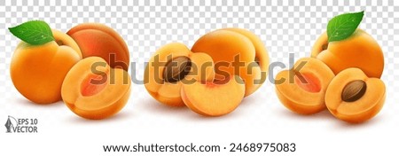 Apricot realistic vector set isolated on white background. Natural fresh fruits, halves, slices and whole apricots with leaves. 3D food illustration for advertising and packaging design