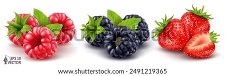 Ripe blackberries, raspberries, strawberries and green leaves. Vector realistic set of wild forest berries. 3D food illustration isolated on white background for advertising and packaging design