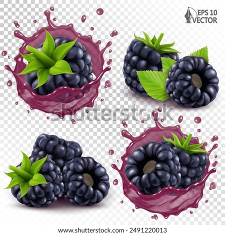 Vector set of ripe blackberries isolated on white background. Realistic transparent juice splash. 3D berry icons for fresh drinks packaging design. Various design options