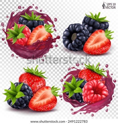 Vector set of ripe wild forest berries. Realistic transparent juice splash, different variants. Raspberry, blackberry, strawberry mix. 3D fruit icons for fresh drinks packaging design