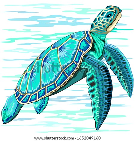 https://image.shutterstock.com/display_pic_with_logo/317590/1652049160/stock-vector-sea-turtle-turquoise-oceanlife-vector-art-1652049160.jpg