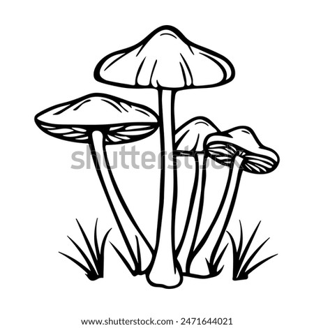 Outline mushrooms. Hand drawn black and white sketch isolated on background. Trendy minimalist liner style.